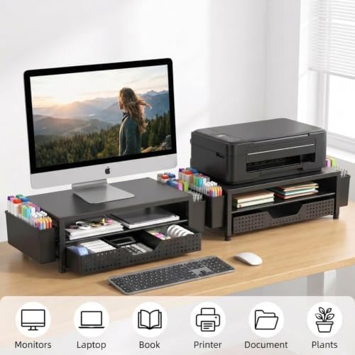 ECOLOVI Desk Organizer and Accessories, 2-Tier Computer Monitor Stand