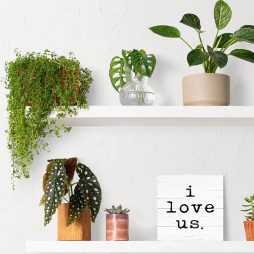 I Love Us Sign, Rustic Wooden Table Signs, Sweet Home Decor, Family