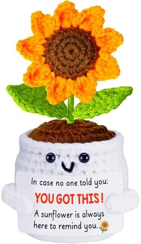 Get Well Gifts for Women Men, Inspirational Positive Sunflower