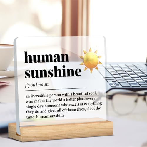 Human Sunshine Motivational Gift for Women Men, Employee Appreciation