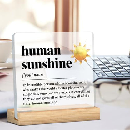 Human Sunshine Motivational Gift for Women Men, Employee Appreciation