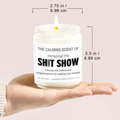 Younift Sarcastic Candles, Going Away, Goodbye, Farewell Gifts for