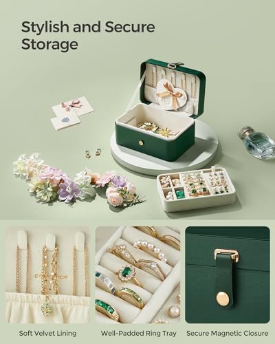SONGMICS Travel Jewelry Organizer, 2-Layer Portable Jewelry Box Case