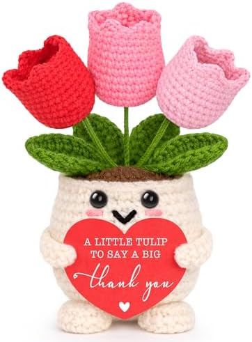Thank You Gifts for Women, Bosses Day Gifts for Women Boss Lady