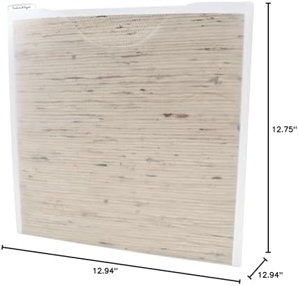 Storage Studios Paper File 3-Pack, 12.75 x 12.95 x 0.13 Inches, Clear