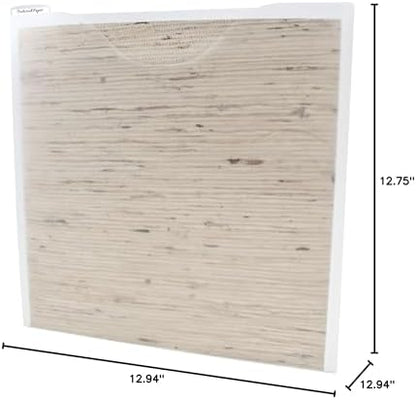 Storage Studios Paper File 3-Pack, 12.75 x 12.95 x 0.13 Inches, Clear