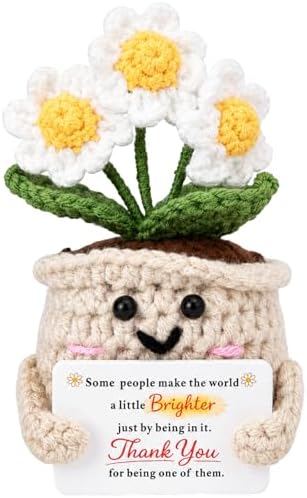 Thank You Gifts for Women, Crochet Daisy Appreciation Gift, Handmade