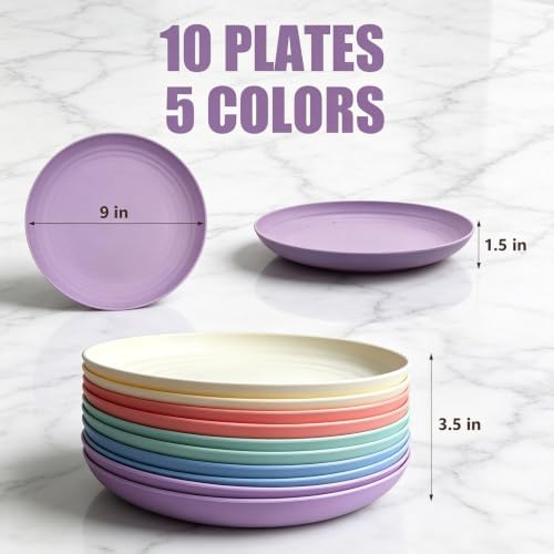 Plastic Plates Reusable, 9 IN Wheat Straw Plates, Deep Dinner Plates