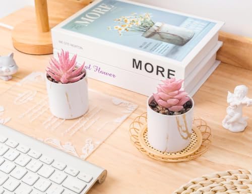 Der Rose 2 Pack Fake Plants Pink Room Decor for Office Desk