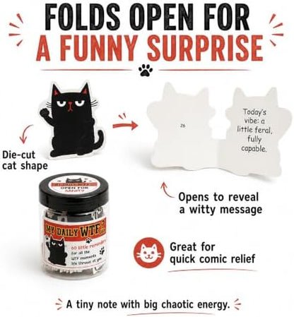 My Daily Jar with 60 Cards, Funny Affirmation Cards for Women Men
