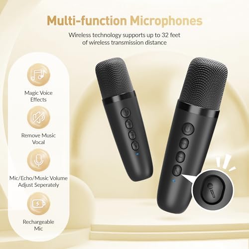 Mini Karaoke Machine,Portable Bluetooth Speaker with 2 Wireless