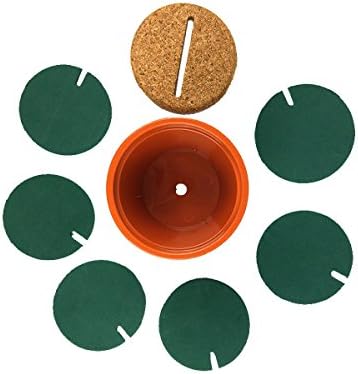 TriPro Creative Cactus Coasters Set of 6 with Holder — Fun &