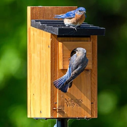 Nature’s Way Cedar Bluebird House for Outdoor Nesting, Predator Guard