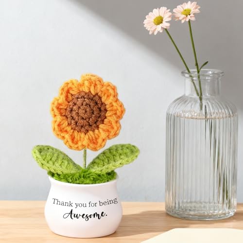 Thank You Gifts Positive Sunflower Crochet Appreciation Gifts for