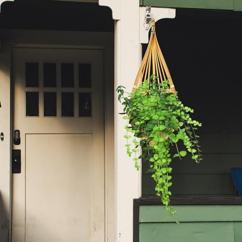 4pcs Woven Orchid Hanging Basket with Metal Hook, Yellow Wall Decor