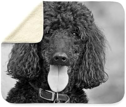 CafePress Black Poodle Sherpa Fleece Throw Blanket 60" L x 50" W