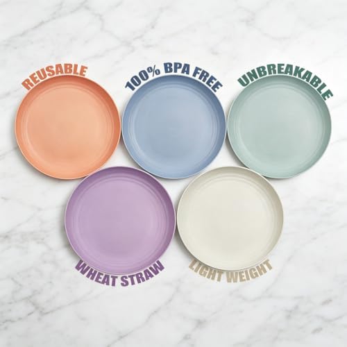 Plastic Plates Reusable, 9 IN Wheat Straw Plates, Deep Dinner Plates