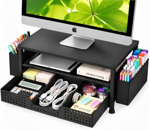 ECOLOVI Desk Organizer and Accessories, 2-Tier Computer Monitor Stand