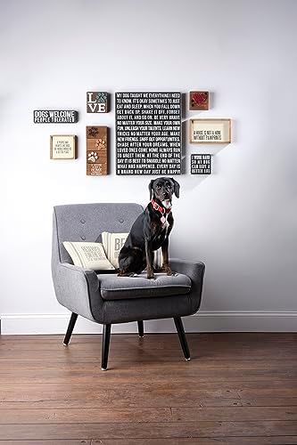 Primitives by Kathy Rustic Wooden Decor Sign - 'Dogs Welcome, People