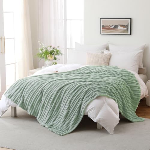 Puncuntex Sage Green Soft Throw Blanket 50"×60" for Couch Cozy 3D