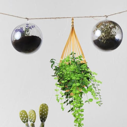 4pcs Woven Orchid Hanging Basket with Metal Hook, Yellow Wall Decor