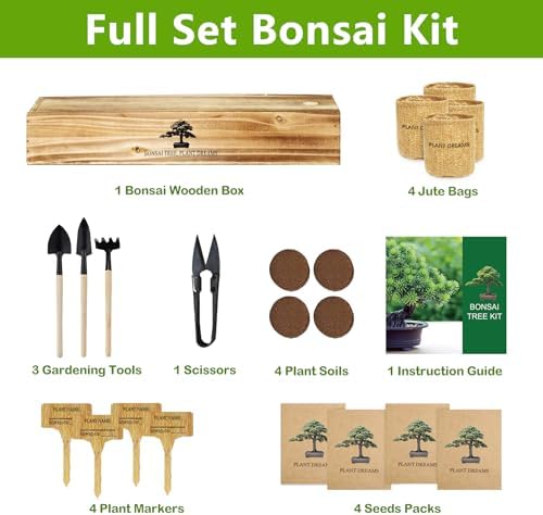 Bonsai Tree Kit, Bonsai Starter Kit with Seeds & Tools, Tree Live