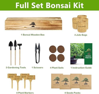 Bonsai Tree Kit, Bonsai Starter Kit with Seeds & Tools, Tree Live