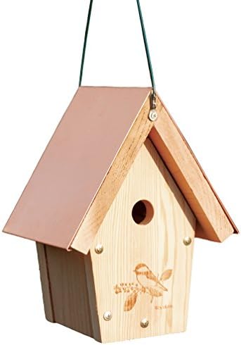 Woodlink COPCH Coppertop Chickadee/Wren Bird House