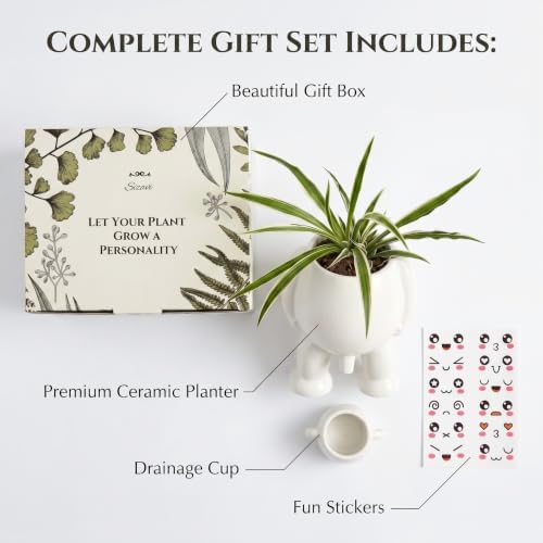 Creative Ceramic Human Shape Planter Funny Penis Planter with