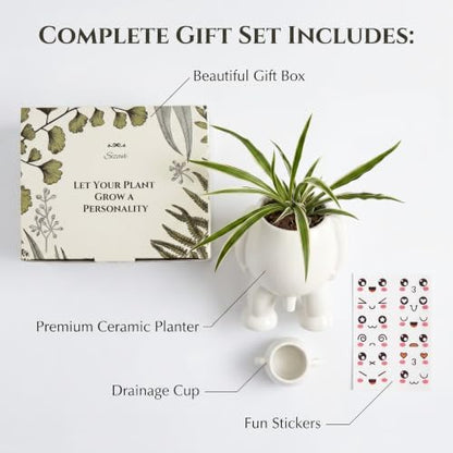 Creative Ceramic Human Shape Planter Funny Penis Planter with