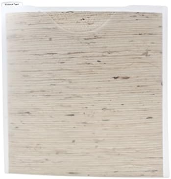 Storage Studios Paper File 3-Pack, 12.75 x 12.95 x 0.13 Inches, Clear