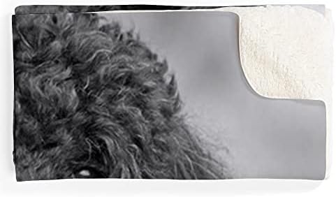 CafePress Black Poodle Sherpa Fleece Throw Blanket 60" L x 50" W