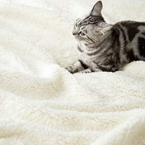 LBRO2M Sherpa Fleece Bed Blanket Super Soft Plush Warm Throw Twin