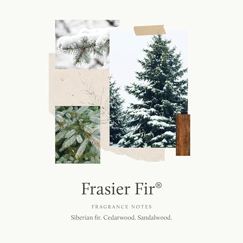 Thymes Frasier Fir Pine Needle Candle – Holiday Candles for Home