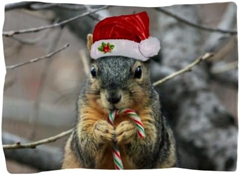 CafePress Christmas Squirrel Pillow Sham, 20" x 30"