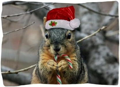 CafePress Christmas Squirrel Pillow Sham, 20" x 30"