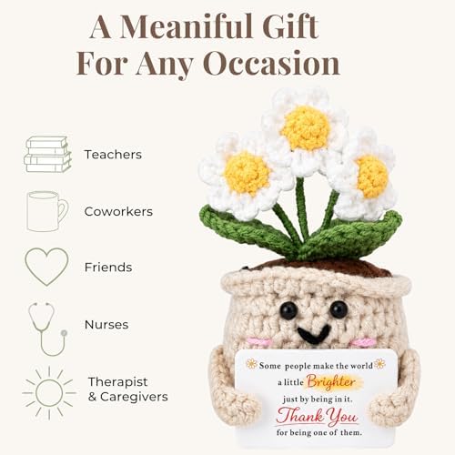 Thank You Gifts for Women, Crochet Daisy Appreciation Gift, Handmade