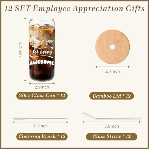 12 Set Employee Appreciation Gifts, Inspirational Thank You Gifts for