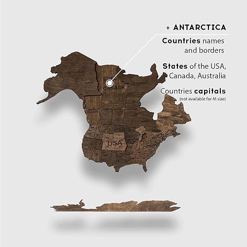 3D Wood World Map Wall Art (Medium, Dark Walnut)