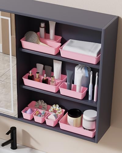 BiuLeon 25 PCS Plastic Drawer Organizers Set, 4-Sizes Vanity and