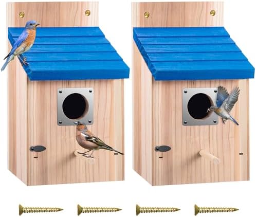 Dreyoo 2 Pack Bluebird House for Outside, Blue Roof, Wood