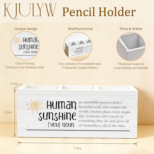 Appreciation Gifts Pen Holder for Desk, Human Sunshine Thank You Gifts