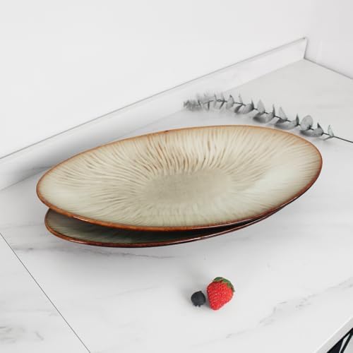 Ceramic Serving Platters, Dinner Plate Set of 2, Large Serving Tray