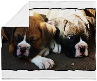 CafePress Boxer Puppies Throw Blanket Super Soft Fleece Plush Throw