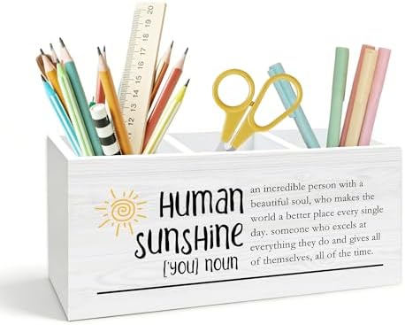 Appreciation Gifts Pen Holder for Desk, Human Sunshine Thank You Gifts