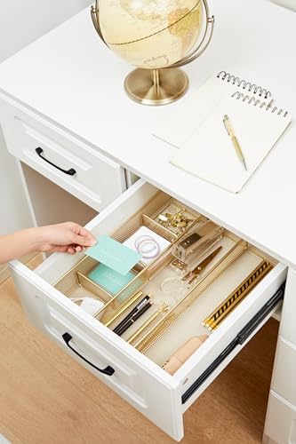 Annova Desk Top Organizer Tray for Office Organization - Metal Mesh