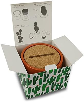 TriPro Creative Cactus Coasters Set of 6 with Holder — Fun &