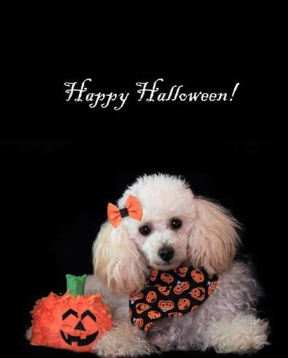 CafePress Halloween Poodle Mugs 20 oz Ceramic Coffee Mega Mug