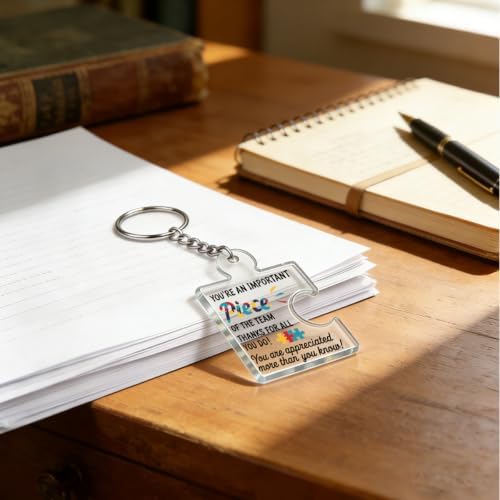 Team Appreciation Gifts Bulk for Coworkers Employee Staff Keychains