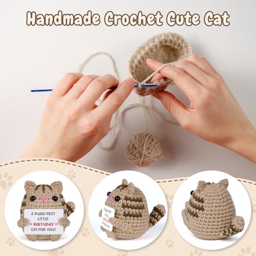 Birthday Gifts for Women Men, Crochet Cat Plush Decor, Handmade